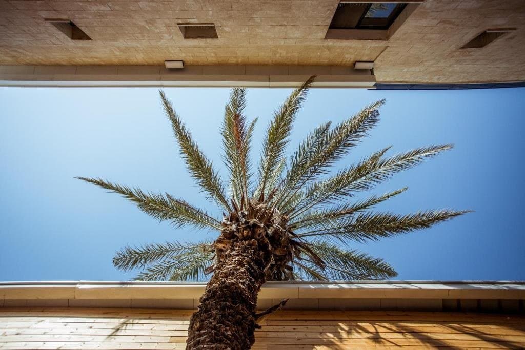מלון הנגב - מלונות דומוס