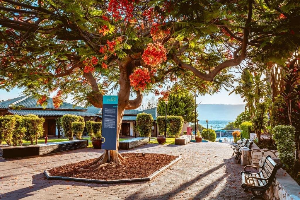 Daria Kinneret Holiday Village - NARA Hotels